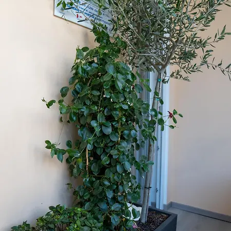 T2! 3 Ou 4 Personnes Centre Neuf Avec Garage * Sanary-sur-Mer